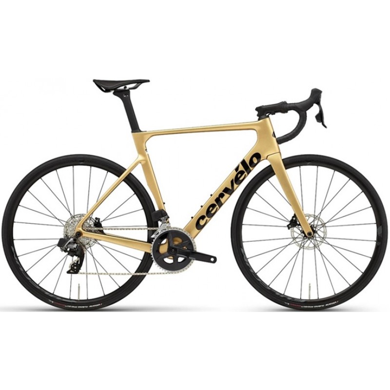 2024 Cervelo Soloist Rival AXS - Gold Dust